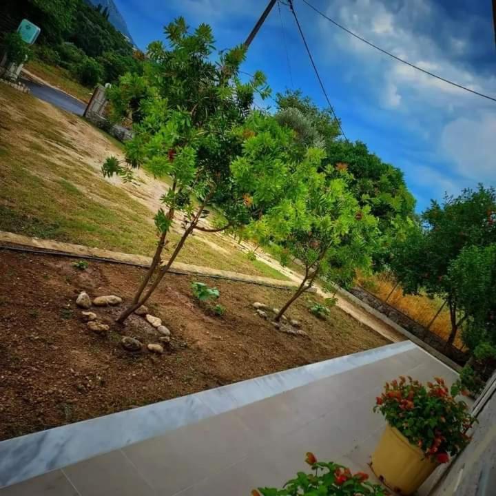 Calma Studios Parga Ngoại thất bức ảnh
